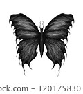 fantasy butterflies, black and white, digital, geometric shapes 120175830