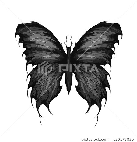 fantasy butterflies, black and white, digital, geometric shapes 120175830