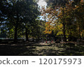 A park with autumn leaves 120175973