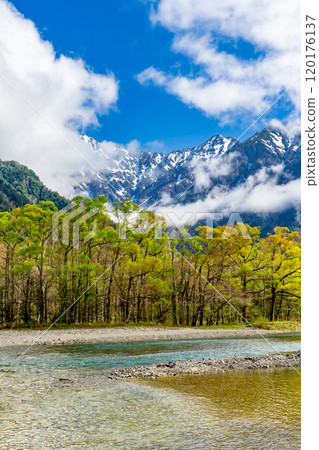 Early summer on the Kamikochi Nature Trail: Early morning forest walk on Mount Maehotaka and Tsurione 120176137