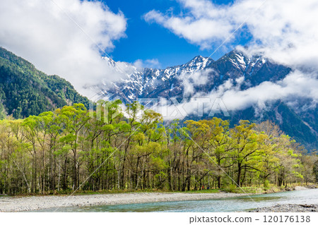 Early summer on the Kamikochi Nature Trail: Early morning forest walk on Mount Maehotaka and Tsurione 120176138