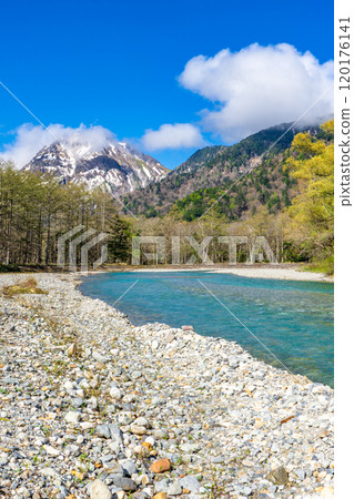 初夏的上高地自然步道、清晨的森林漫步、梓川和燒岳 120176141