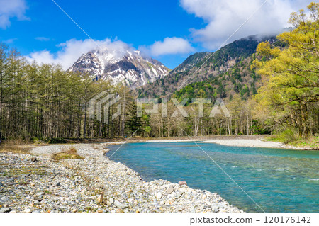初夏的上高地自然步道、清晨的森林漫步、梓川和燒岳 初夏的上高地自然步道、清晨的森林漫步、梓川和燒岳 120176142