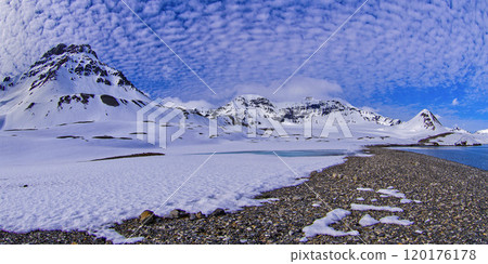 Trygghamna Bay, Arctic 120176178