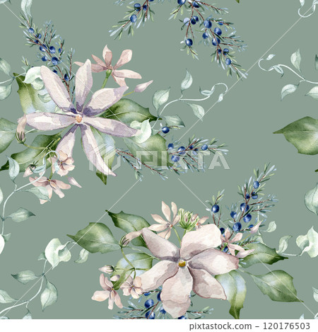 Watercolor seamless pattern of jasmine pink flowers and juniper branch isolated. Botanical winter repeated texture in soft tones hand drawn. Blooms and coniferous painted for Christmas background. 120176503