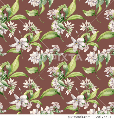 Watercolor seamless pattern of jasmine bunch, buds, leaves isolated. Botanical repeated texture of white flowers hand drawn in soft colors. Floral foliage background for design textile, package, paper 120176504