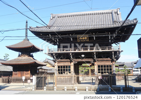 荒子觀音寺大門和多寶塔 120176524