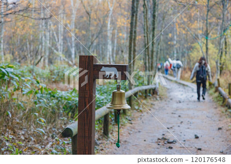 熊警報鐘@秋季上高地散步道 120176548