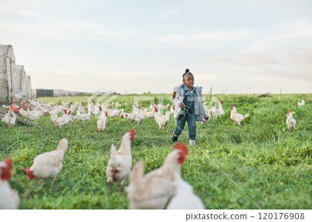 Here chicky, chicky. Shot of a cute little girl having fun on a chicken farm. Here chicky, chicky. Shot of a cute little girl having fun on a chicken farm. 120176908