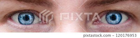Femaleblue eyes close up banner 120176953