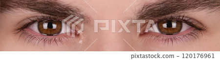 Female brown eyes close up banner Female brown eyes close up banner 120176961