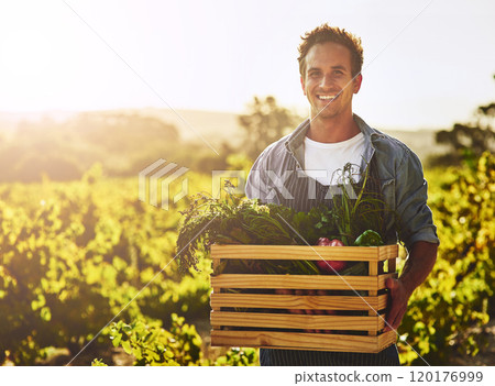 Growing your own is worth it. Shot of a young man holding a crate full of freshly picked produce on a farm. 120176999