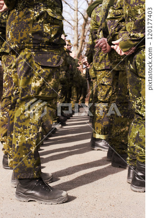 Time for inspection. A group of soldiers standing at attention. 120177403