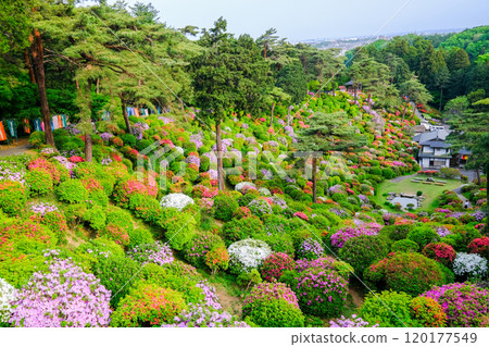 春天，青梅市，東京，鹽船觀音寺 120177549