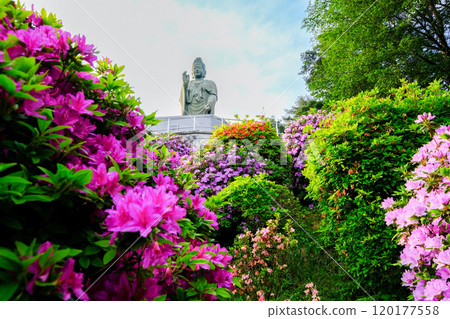 春天,青梅市,東京,鹽船觀音寺 春天,青梅市,東京,鹽船觀音寺 120177558