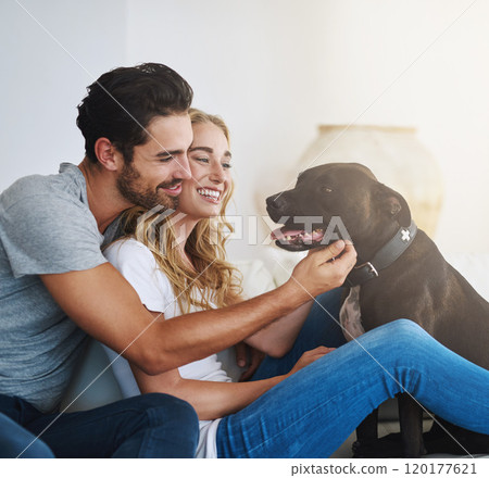 Hanging with their home-dog. Shot of a young couple relaxing at home with their dog. 120177621