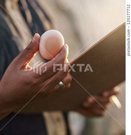 As fresh as eggs should be. Shot of an unrecognisable farmer inspecting the quality of eggs on his farm. As fresh as eggs should be. Shot of an unrecognisable farmer inspecting the quality of eggs on his farm. 120177712