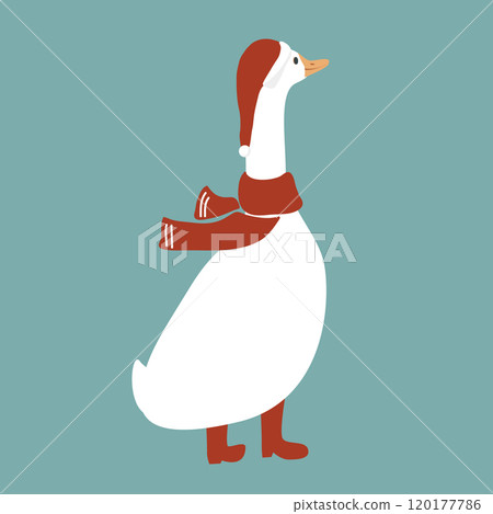 Cute funny cartoon goose in red scarf, Santa Claus hat and boots. Merry Christmas character. Vector isolated illustration Cute funny cartoon goose in red scarf, Santa Claus hat and boots. Merry Christmas character. Vector isolated illustration 120177786
