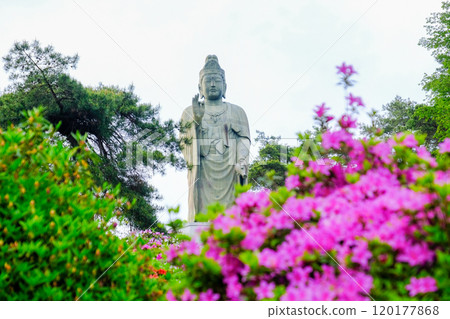 Tokyo, Ome City, Spring, Shiofune Kannonji Temple Tokyo, Ome City, Spring, Shiofune Kannonji Temple 120177868