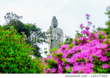 春天，青梅市，東京，鹽船觀音寺 120177869