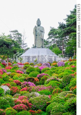 春天,青梅市,東京,鹽船觀音寺 春天,青梅市,東京,鹽船觀音寺 120178173