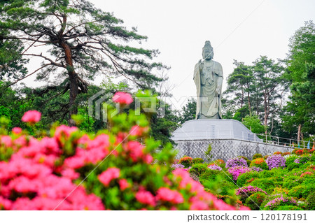春天,青梅市,東京,鹽船觀音寺 春天,青梅市,東京,鹽船觀音寺 120178191