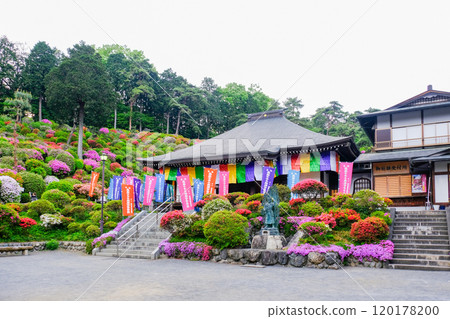 Tokyo, Ome City, Spring, Shiofune Kannonji Temple Tokyo, Ome City, Spring, Shiofune Kannonji Temple 120178200
