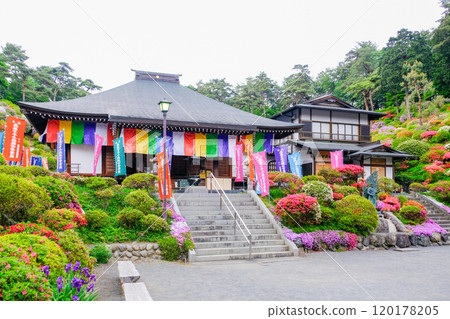 春天，青梅市，東京，鹽船觀音寺 120178205