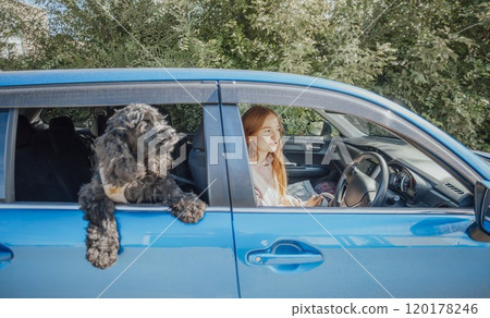 dog eagerly looks out of the car window, capturing the essence of pet-friendly trips dog eagerly looks out of the car window, capturing the essence of pet-friendly trips 120178246