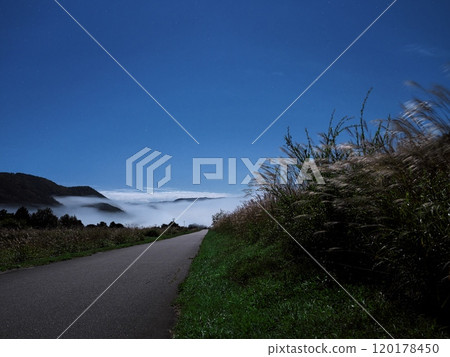 Autumn in Kaida Plateau: A path lined with silver grass illuminated by moonlight Autumn in Kaida Plateau: A path lined with silver grass illuminated by moonlight 120178450