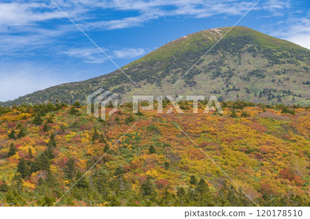 秋天的八甲田、紅葉的小岳 120178510