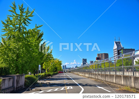 Aichi Prefecture: Nagoya cityscape, Chikusa Ward, Fukiage, Wakamiya Odori 120178571