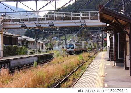 青梅線古里站出發，前往鳩之巢站方向的奧多摩號列車 (2) 120179841