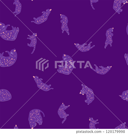 Mystical seamless pattern of cats in boho style, silhouette collection. Witchcraft and magic 120179998
