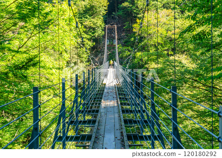 大井川千米吊橋、安澤山登山口、南阿爾卑斯山、安澤山、荒川山攀登 大井川千米吊橋、安澤山登山口、南阿爾卑斯山、安澤山、荒川山攀登 120180292