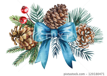 Christmas composition pine cones, blue bow, evergreen branches, holiday berries. Watercolor winter botanical isolated 120180471