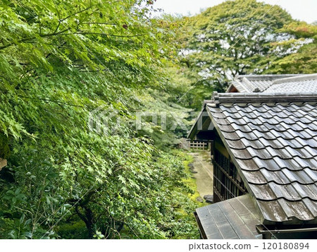 京都六里院 京都六里院 120180894
