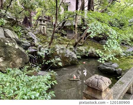京都六里院 京都六里院 120180900