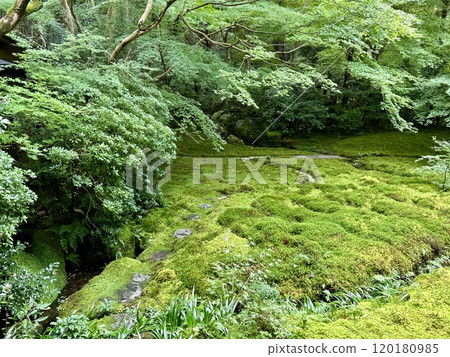 Kyoto Rurikoin Kyoto Rurikoin 120180985