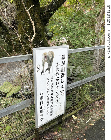 Kyoto Yase 120181219