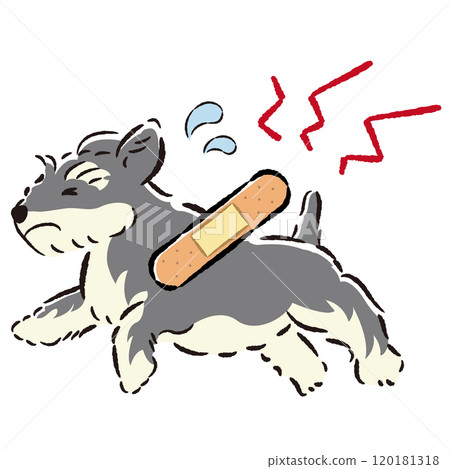 一隻受傷的狗狗表情困擾的插圖 一隻受傷的狗狗表情困擾的插圖 120181318