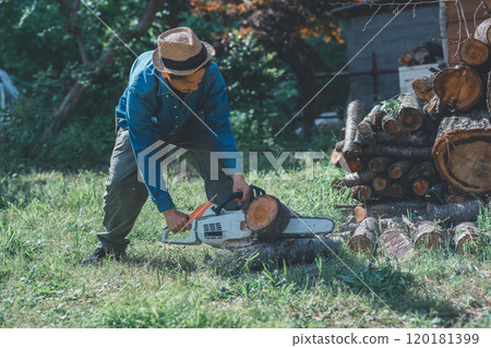 Making firewood with a chainsaw Making firewood with a chainsaw 120181399