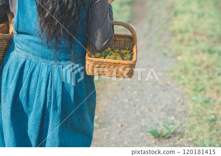 Woman picking flowers Woman picking flowers 120181415