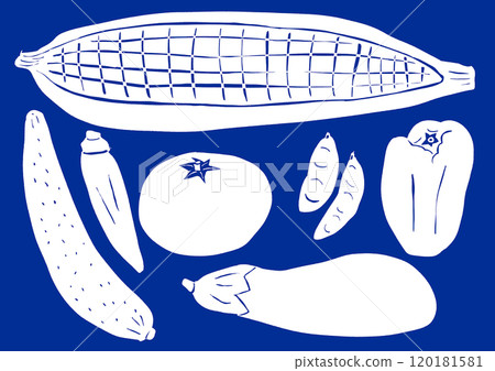 夏季清涼蔬菜 120181581