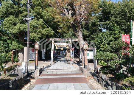 犬神社參道 120181594