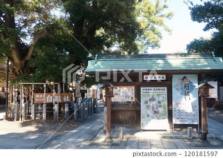 The sacred tree and guide map of Hakuryu-sha Shrine in Inu Shrine 120181597