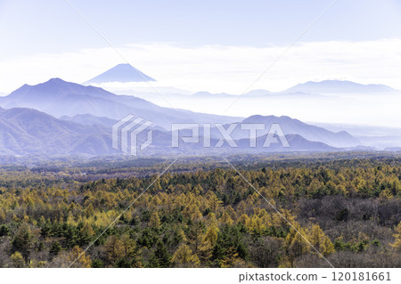 View of autumn leaves and Mt. Fuji from Utsukushimori 120181661