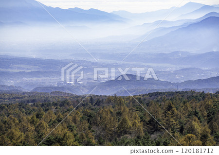 Autumn larch forest with autumn leaves and sea of clouds Autumn larch forest with autumn leaves and sea of clouds 120181712
