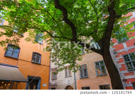 瑞典斯德哥爾摩老城區格姆拉斯坦的一條後巷 120181784