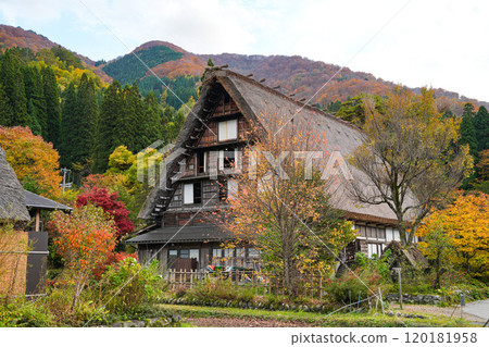 Shirakawago autumn leaves 120181958
